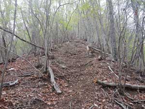 �����ؓ�