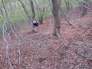 �����ؓ�