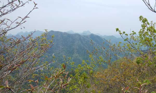 山頂からの眺め