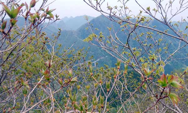 山頂からの眺め