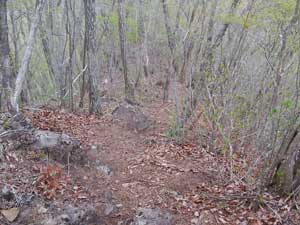 ��������߂����B