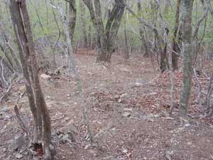 �}�΂ȓo�R��