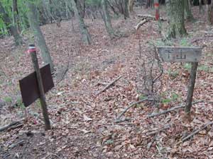 �R���܂ŋ}�Ζʂ̕W��