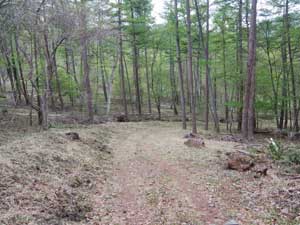 �ѓ�����