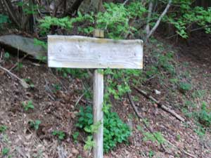 �ŏ��̕W��