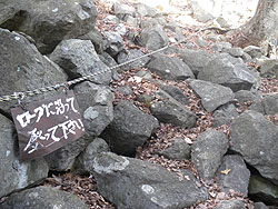 ���[�v�ɉ����ēo���ĉ�����