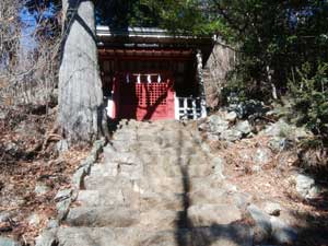 ���̉@�E�j��ߎ�