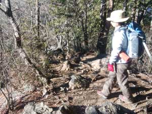 ���̉@�R������̓o�R���B