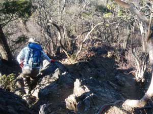 ���̉@�R������̓o�R���B