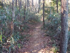 奥の院山頂からの登山道。