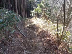 �犄�R �R������̓o�R���B