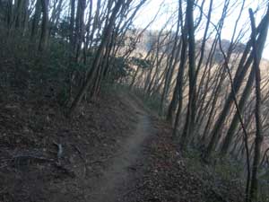 鍋割山 山頂からの登山道。