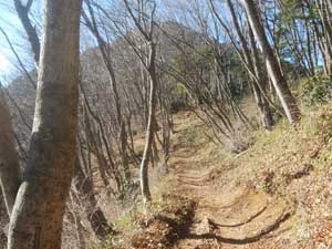 ���򂩂�̓o�R���B