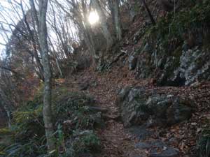 ���򂩂�̓o�R���B