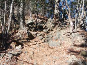 分岐からの登山道。