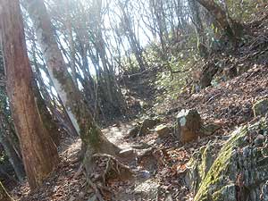 ���򂩂�̓o�R���B