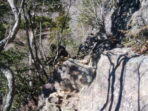 分岐からの登山道。