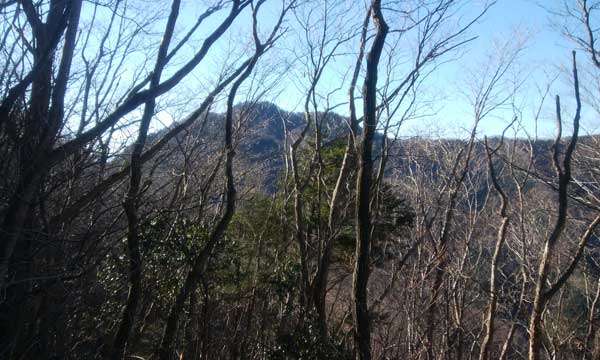 山頂からの景色