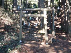 �o�R�ĊJ�`�`