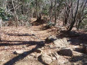 ��x�R�R������̓o�R��