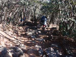 大岳山山頂からの登山道