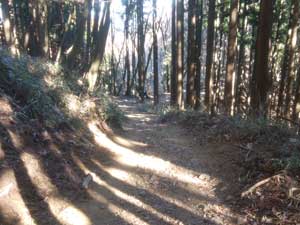 ���򂩂�̓o�R��