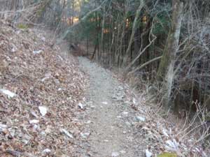 分岐からの登山道