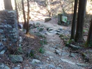 ���b�N�K�[�f���̓���