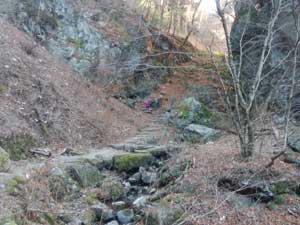 ���b�N�K�[�f��