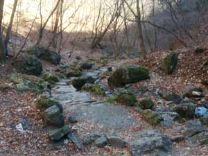 ���b�N�K�[�f��