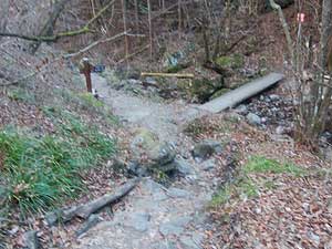 ロックガーデン