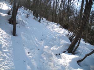 �R���܂ł̓��̂�