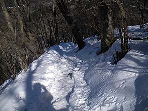 �o�R���܂ł̓��̂�