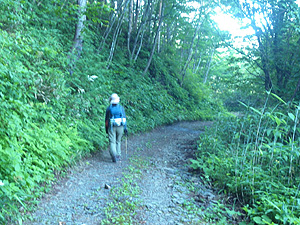 �X�^�[�g���Ē����̓o�R��