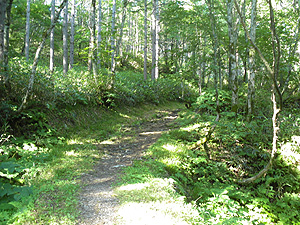 �ѓ��I���͑������B