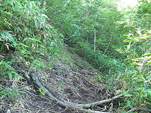 �{�i�I�ȁH�R��