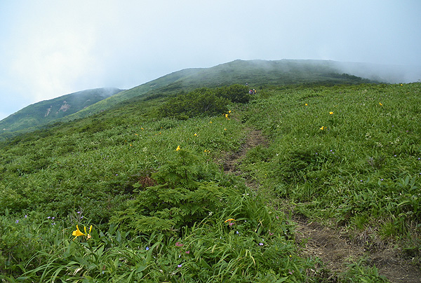 頂点から先の登山道。