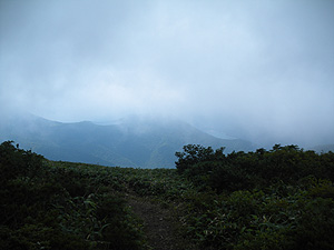 山頂からの眺め