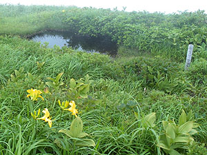 �L�X�Q����