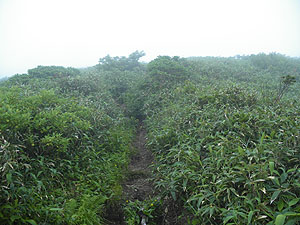 �ܗt�m�򂩂�̓o�R���B