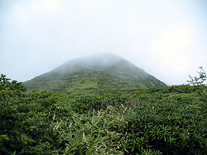 �R���t�߂̓o�R���B