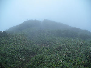 �L�X�Q��������̓o�R���B