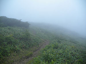 キスゲ小沼からの登山道。