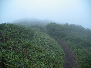 ���ΎR����̓o�R���B