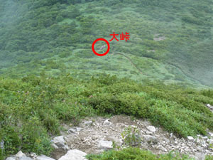 �哻�������Ă������`