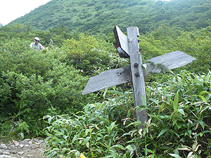 �哻�ɓ����E�x�e�`�`