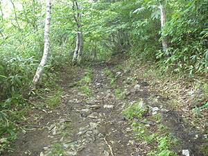 �ѓ��I�ȓ��ɕς�����B