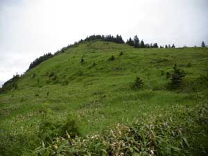 ���͏�肾���`�`