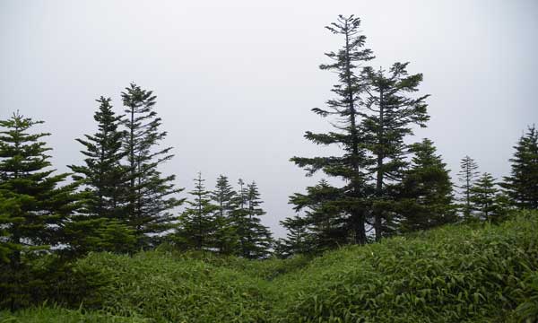 山頂からの景色は真っ白〜