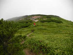 �K�X�������ė��������`